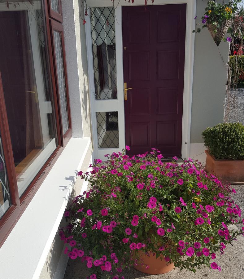 Ely House B&B Shannonbridge Dış mekan fotoğraf