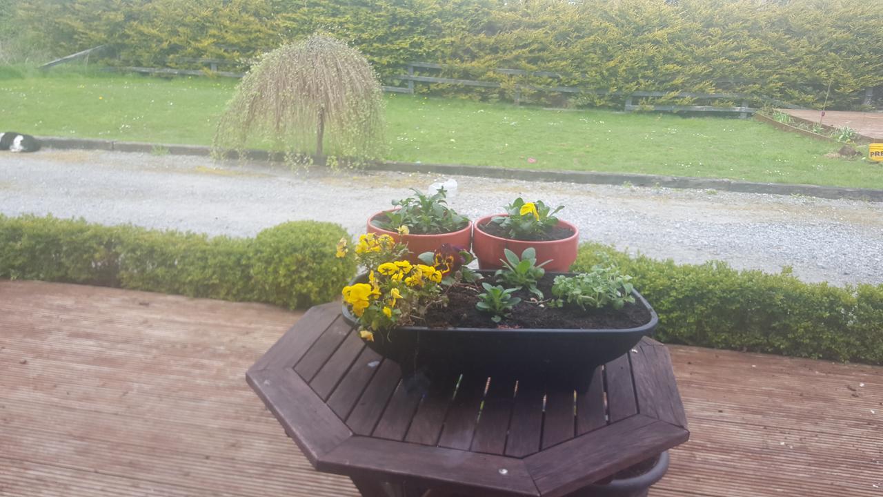 Ely House B&B Shannonbridge Dış mekan fotoğraf